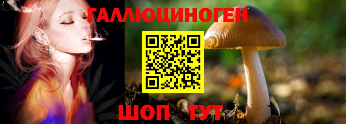 Самара  Псилоцибиновые грибы ЛСД  Вход с VPN 
